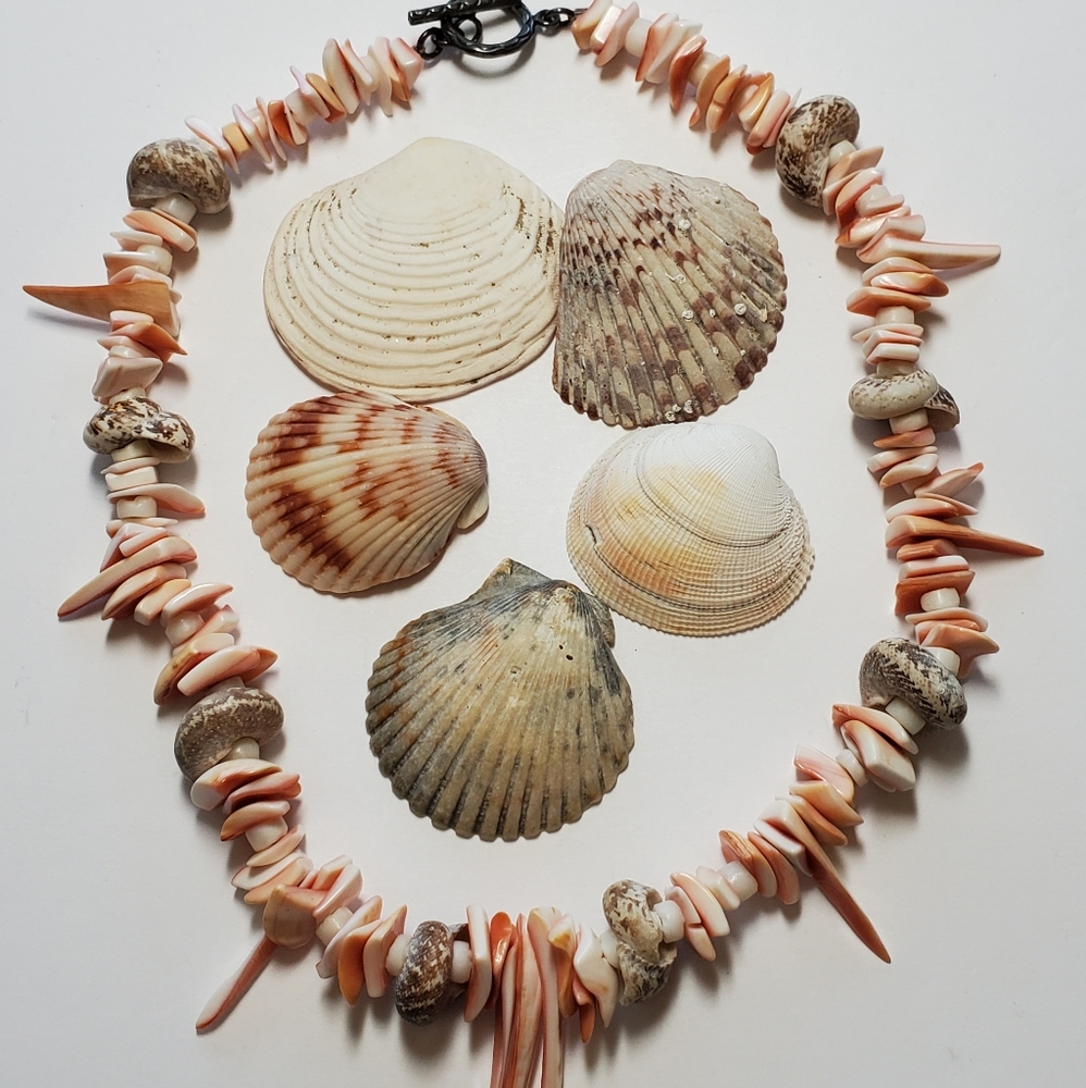 ✨SeaShell Hawaiian Beach Choker 🐚